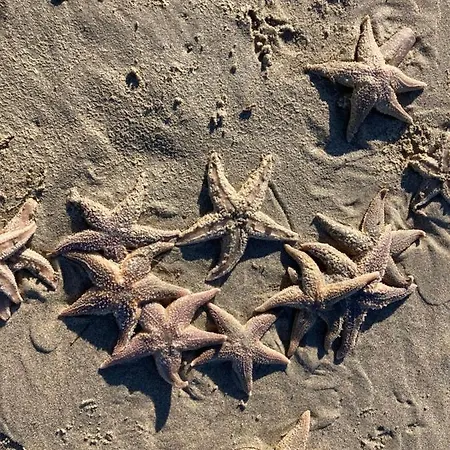 Apartmán Bij Frits Zandvoort